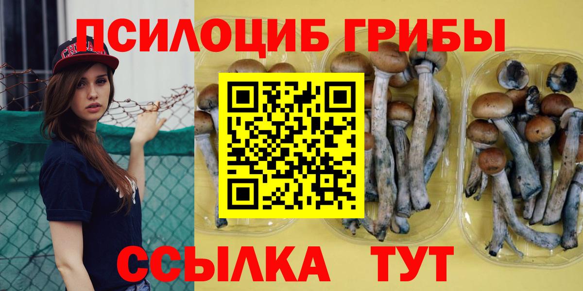 Галлюциногенные грибы Magic Shrooms  Вход с VPN  Губкин  Галлюциногенные грибы MAGIC MUSHROOMS 