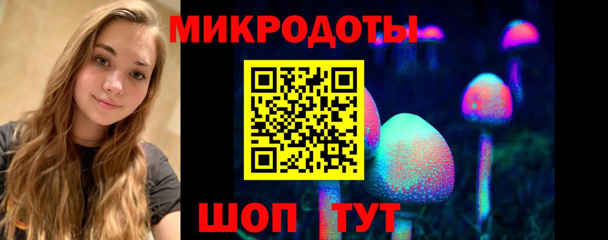 Псилоцибиновые грибы прущие грибы Губкин